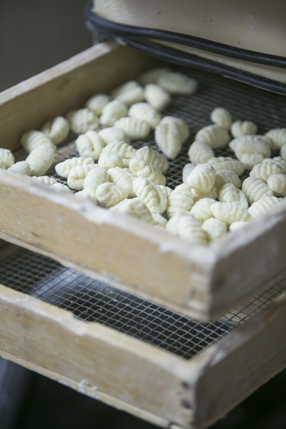 Continental Noodles Pastificio Italiano | 1664 Jane St, York, ON M9N 2S1, Canada | Phone: (416) 249-5458
