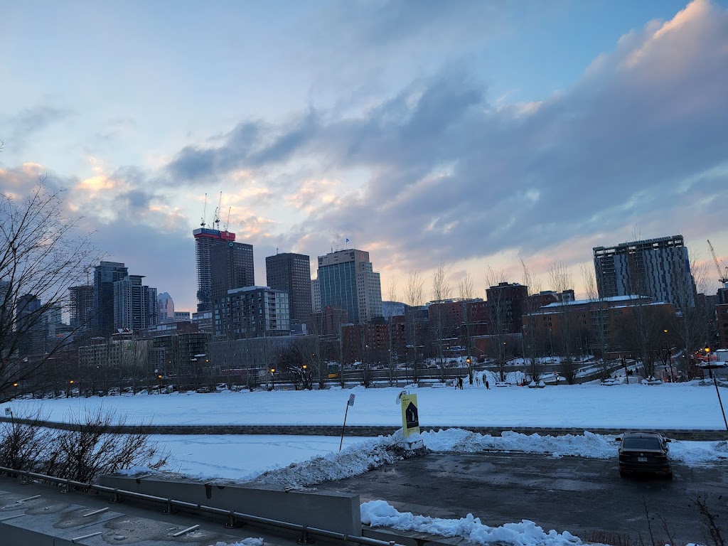 Patinoire réfrigérée du Vieux-Port de Montréal | Bassin Bonsecours, Montréal, QC H2Y 2E2, Canada | Phone: (514) 496-7678