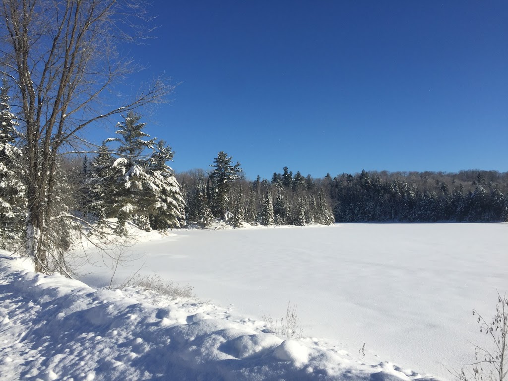 Labrador Lodge | 12 Chemin du Labrador, Wakefield, QC J0X 3G0, Canada | Phone: (613) 203-5788