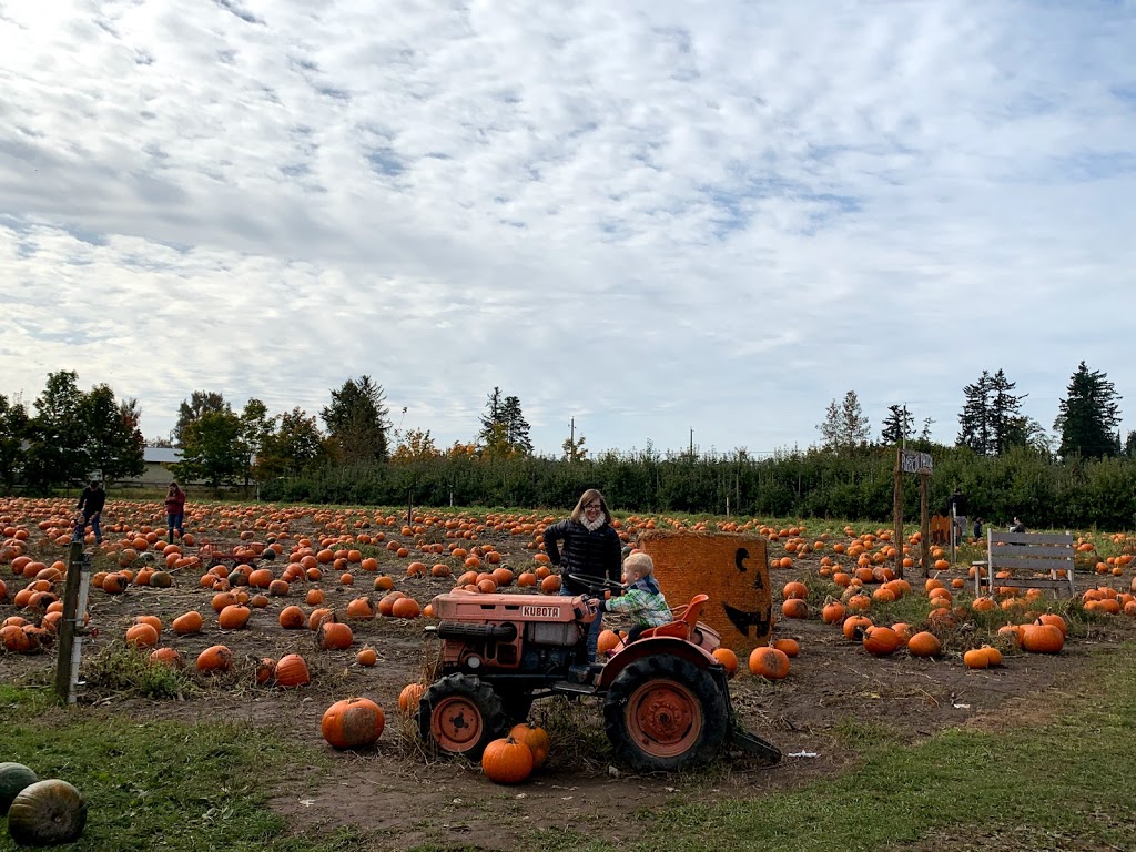 Willow View Farms | 288 McCallum Rd, Abbotsford, BC V2S 8A2, Canada | Phone: (604) 854-8710
