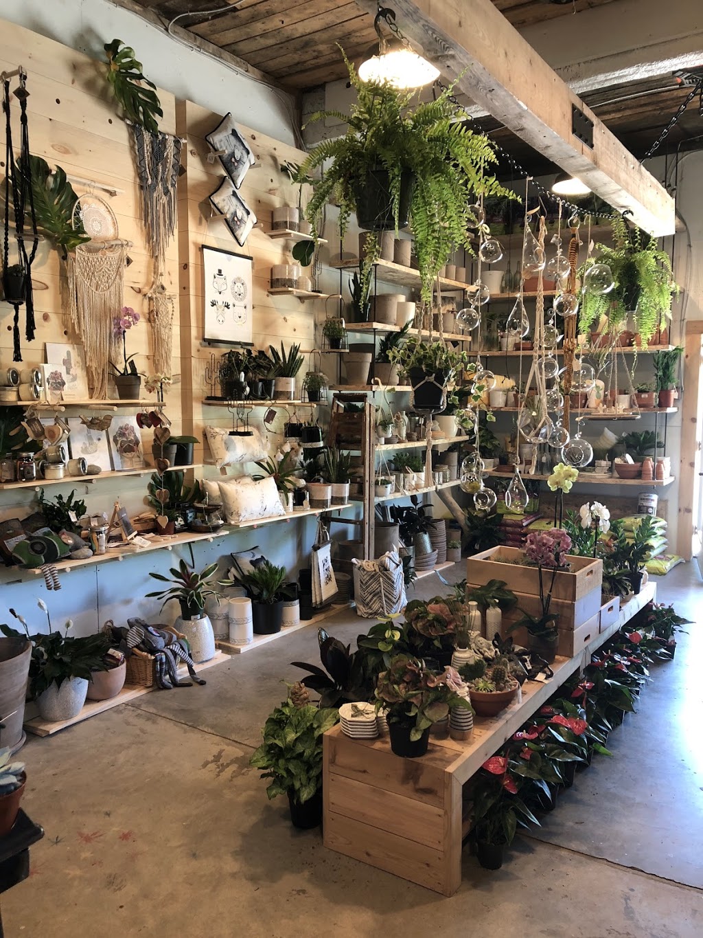 Maison Forêt | 1413 Rue de la Sapinière, Val-David, QC J0T 2N0, Canada | Phone: (438) 868-9801