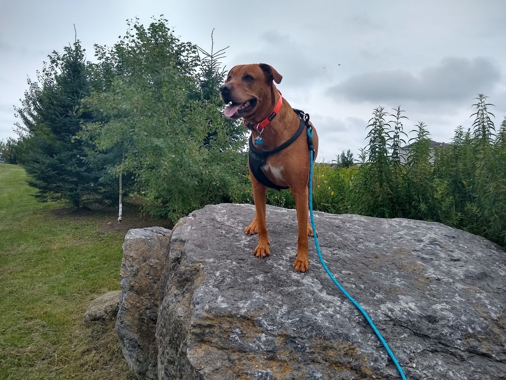 Rancourt Dog Park | 858 Scala Ave, Orléans, ON K4A 4T6, Canada | Phone: (613) 580-2400