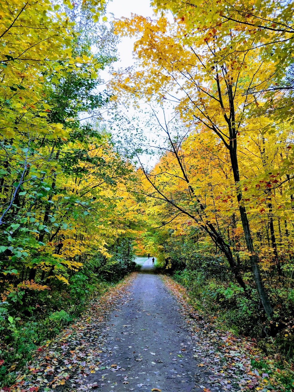 Cap Tourmente National Wildlife Area | Cap Tourmente National Wildlife Area, 570 Chemin du Cap Tourmente, Saint-Joachim, QC G0A 3X0, Canada | Phone: (418) 827-4591