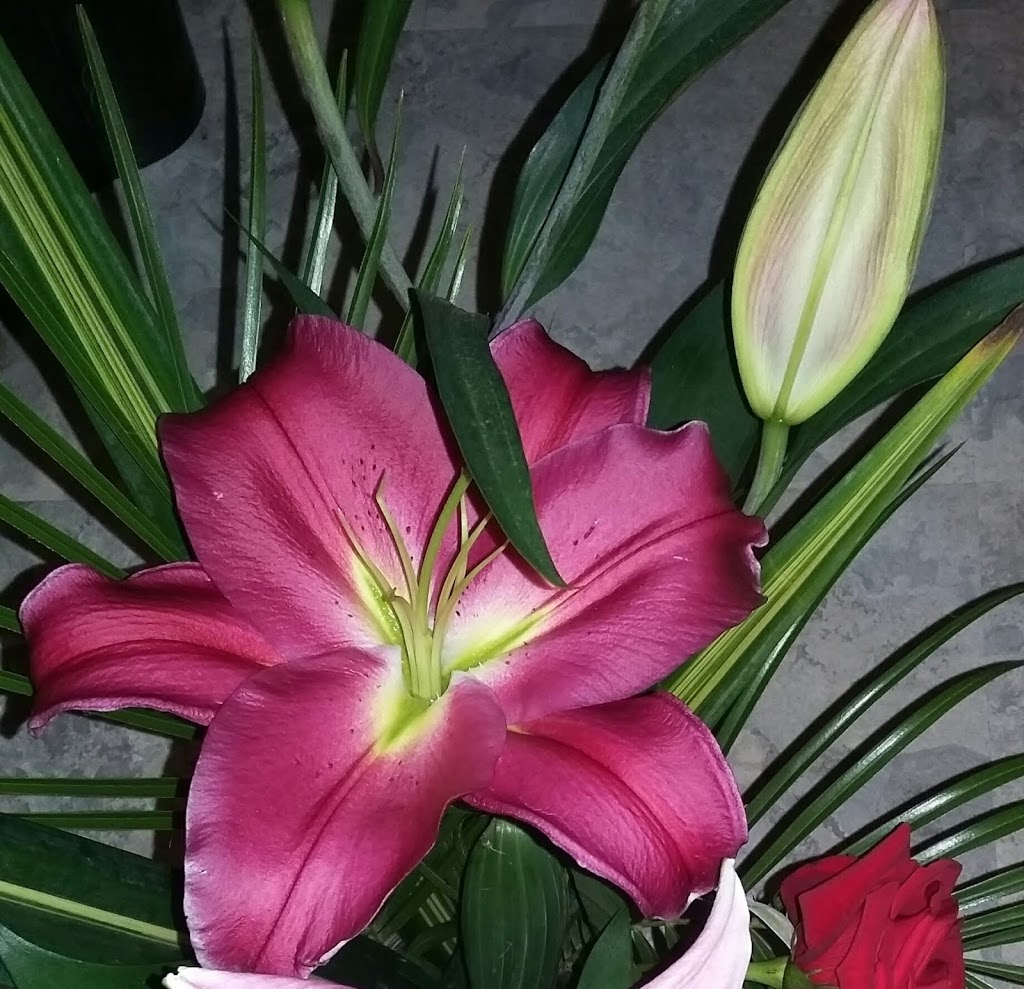 Fleurs Coupes Quebec Inc | florist | 675 Avenue Godin, Québec, QC G1M 3E6, Canada | 5817416561 OR +1 581-741-6561