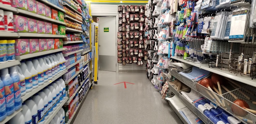 Dollarama | 100 Bd Jacques Bizard, LÎle-Bizard-Sainte-Geneviève, QC H9C 2T9, Canada | Phone: (514) 696-7680