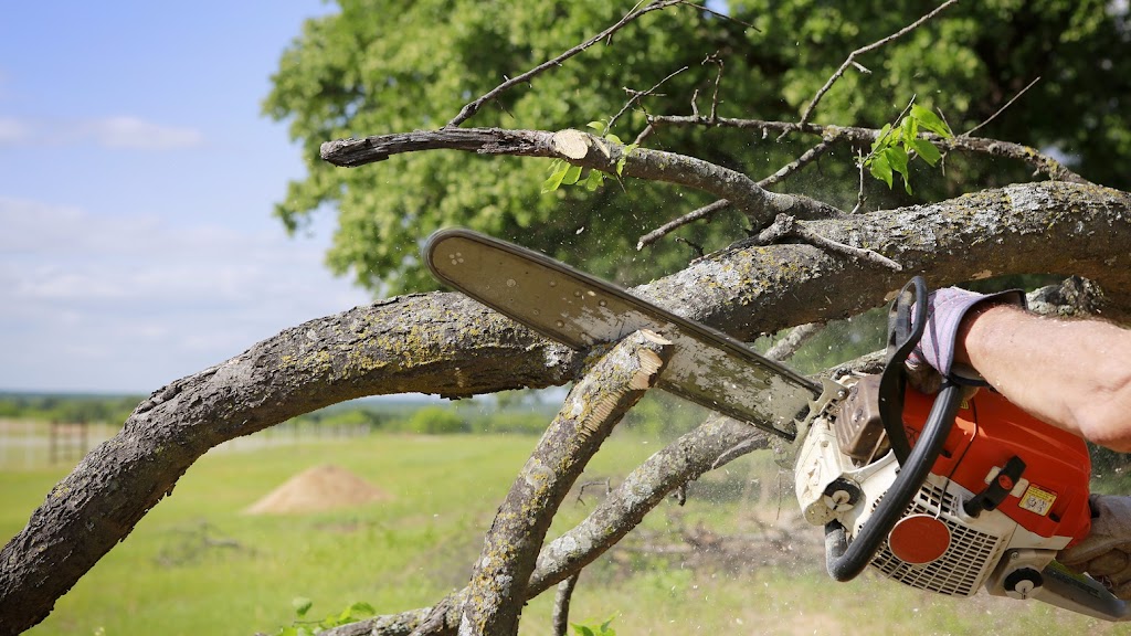 Westisland Tree Service | Old Châteauguay Rd, Kahnawake, QC J0L 1B0, Canada | Phone: (514) 631-6162