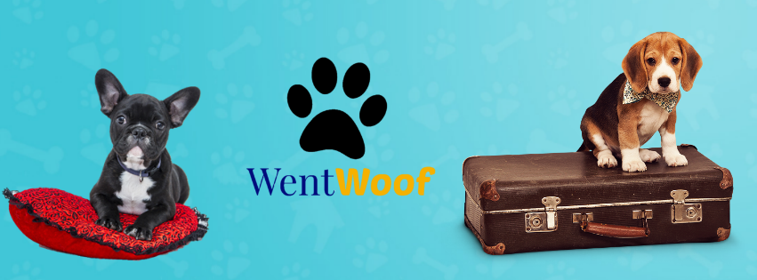 WentWoof | 12387 NS-4, Wentworth, NS B0M 1Z0, Canada | Phone: (902) 956-9049