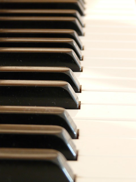 Tim Saunders- Piano Tuning | 7 Stairs St, Dartmouth, NS B3A 3E8, Canada | Phone: (902) 405-5177
