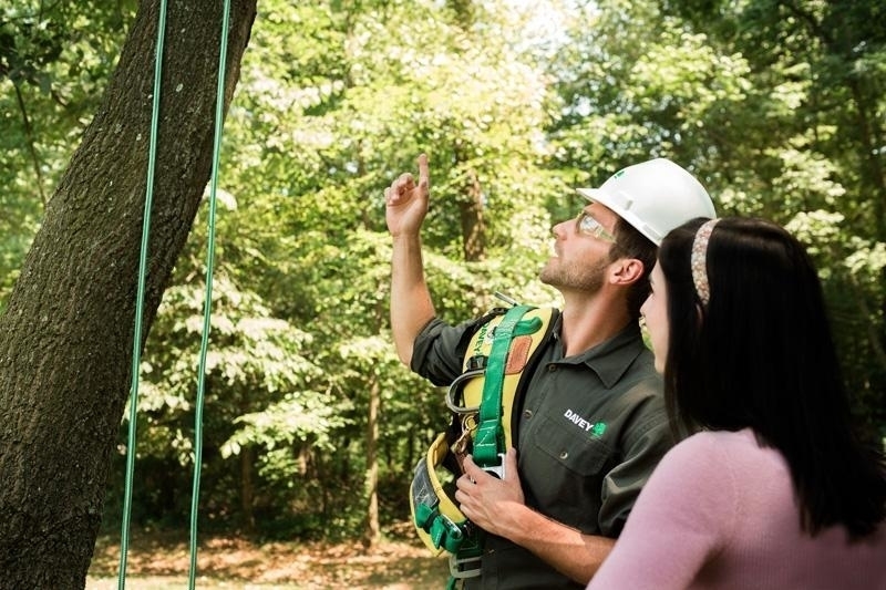 The Davey Tree Expert Company Of Canada | 4063 Hampshire Mills Line, Severn Bridge, ON L3V 6H3, Canada | Phone: (705) 689-8389