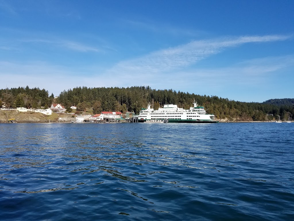 Orcas Island Whale Watch and Deer Harbor Charters | 5164 Deer Harbor Rd, Deer Harbor, WA 98243, USA | Phone: (360) 376-5989