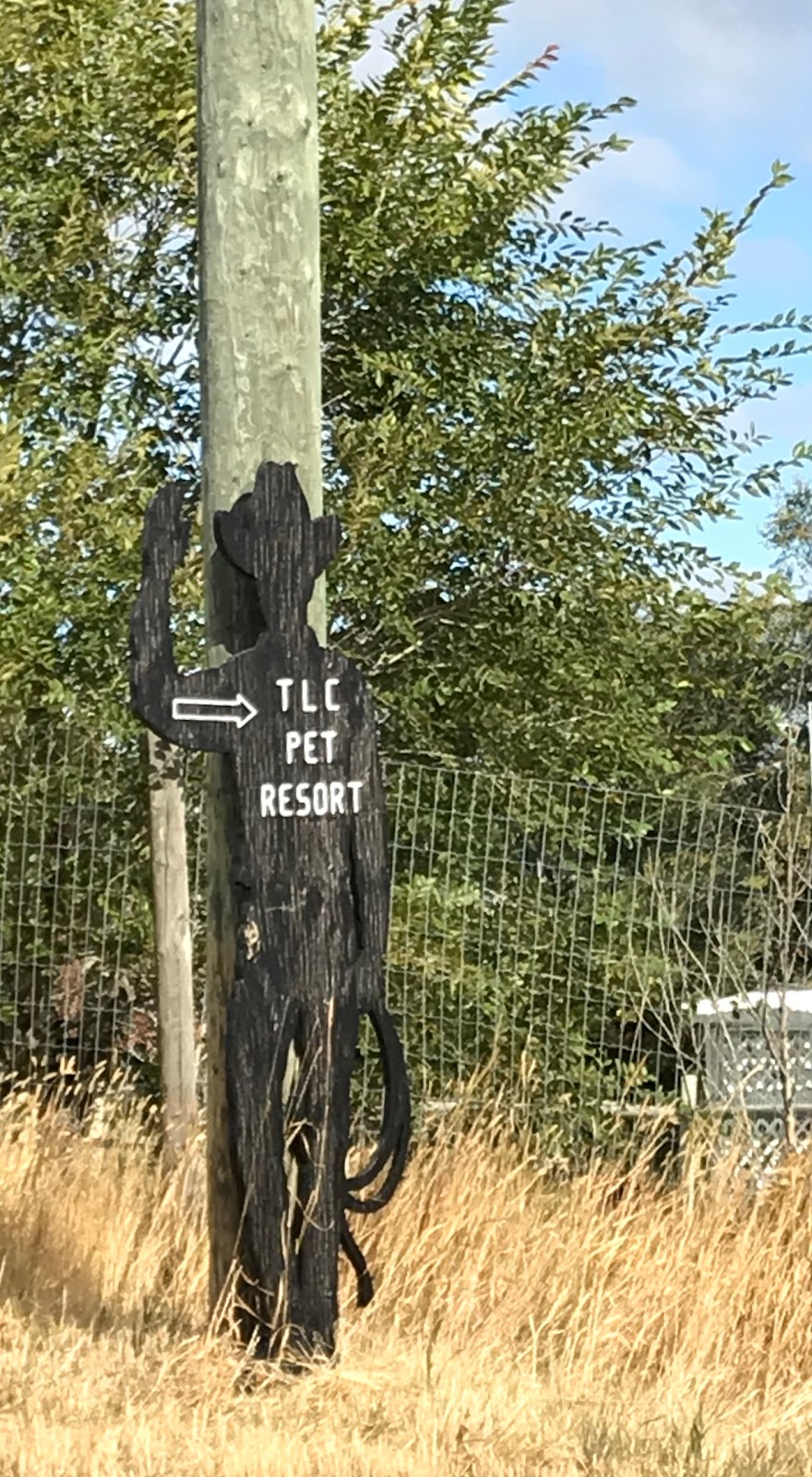 TLC for Pets | 73 Edith Lake Rd, Knutsford, BC V0E 2A0, Canada | Phone: (250) 377-8004
