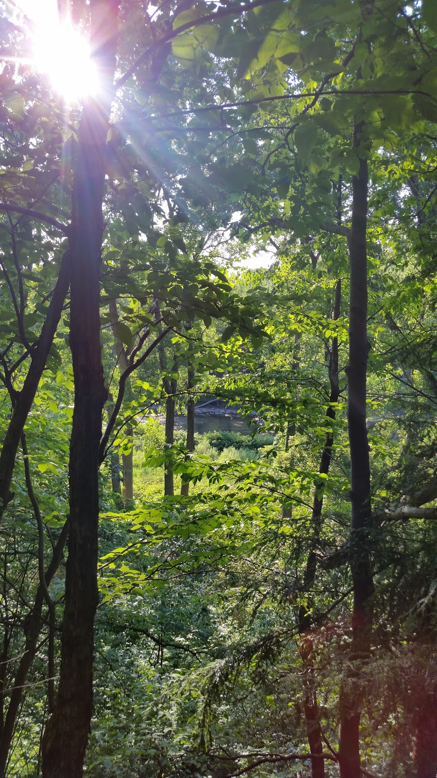 Cazenovia Creek Wildlife Management Area | West Seneca, NY 14224, USA