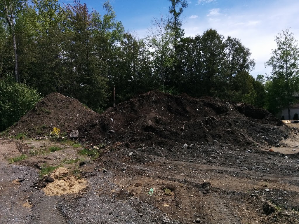 Parc Ginette-Genois | 170 Rue Ginette Genois, Victoriaville, QC G6T 2H1, Canada | Phone: (819) 758-1571