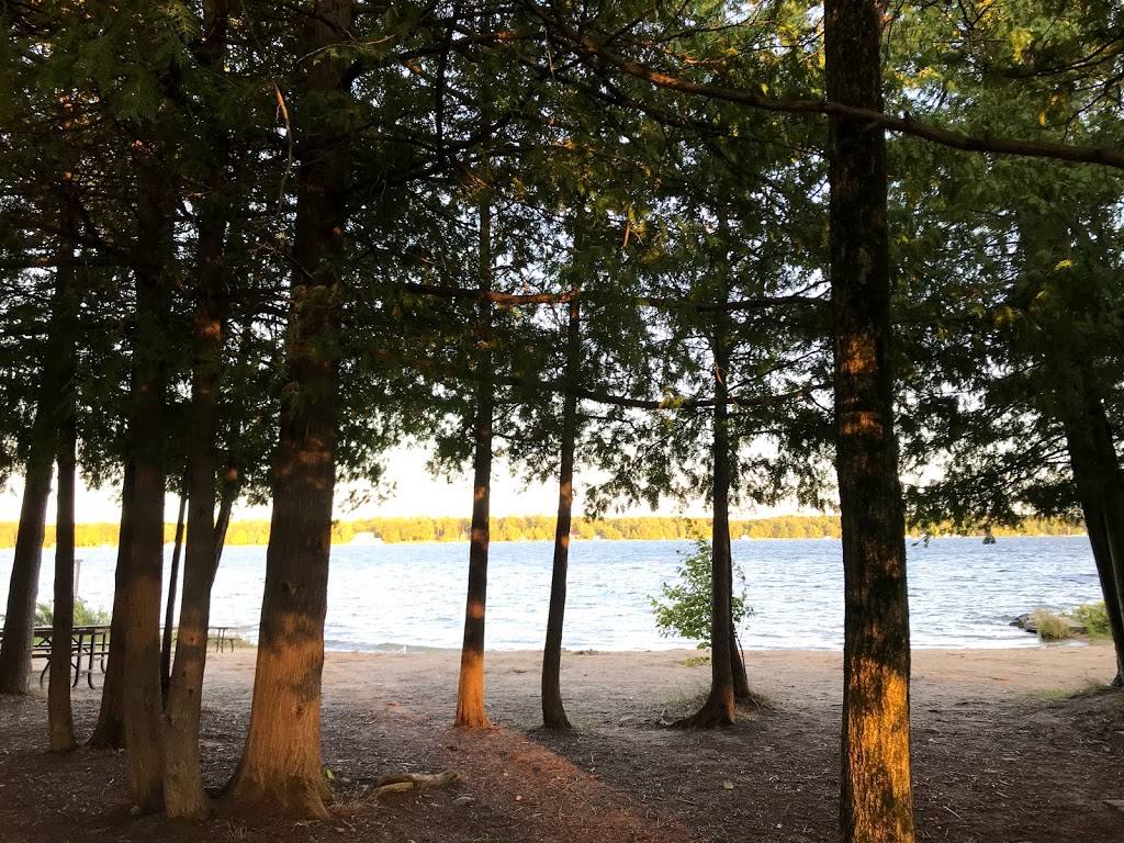 Balsam Lake Provincial Park Beach | Kawartha Lakes, ON K0M 1K0, Canada | Phone: (705) 454-3324