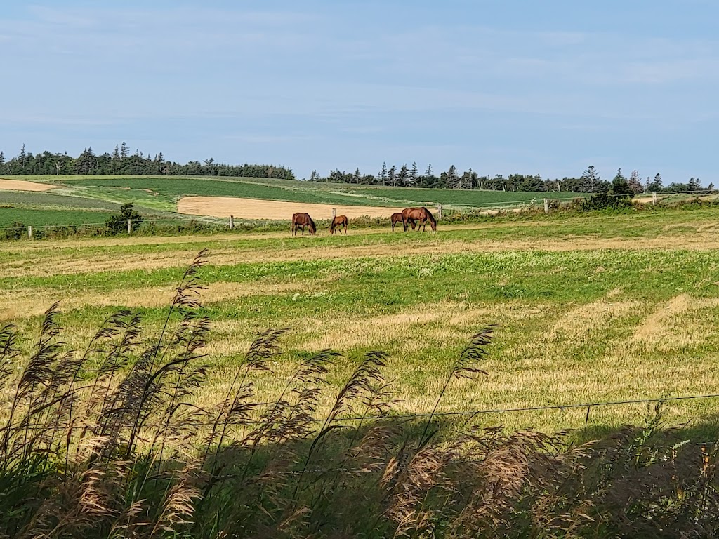 Anchor n Plough Country Home Getaway | 79 Bernard Rd French River, Kensington, PE C0B 1M0, Canada | Phone: (902) 394-4816