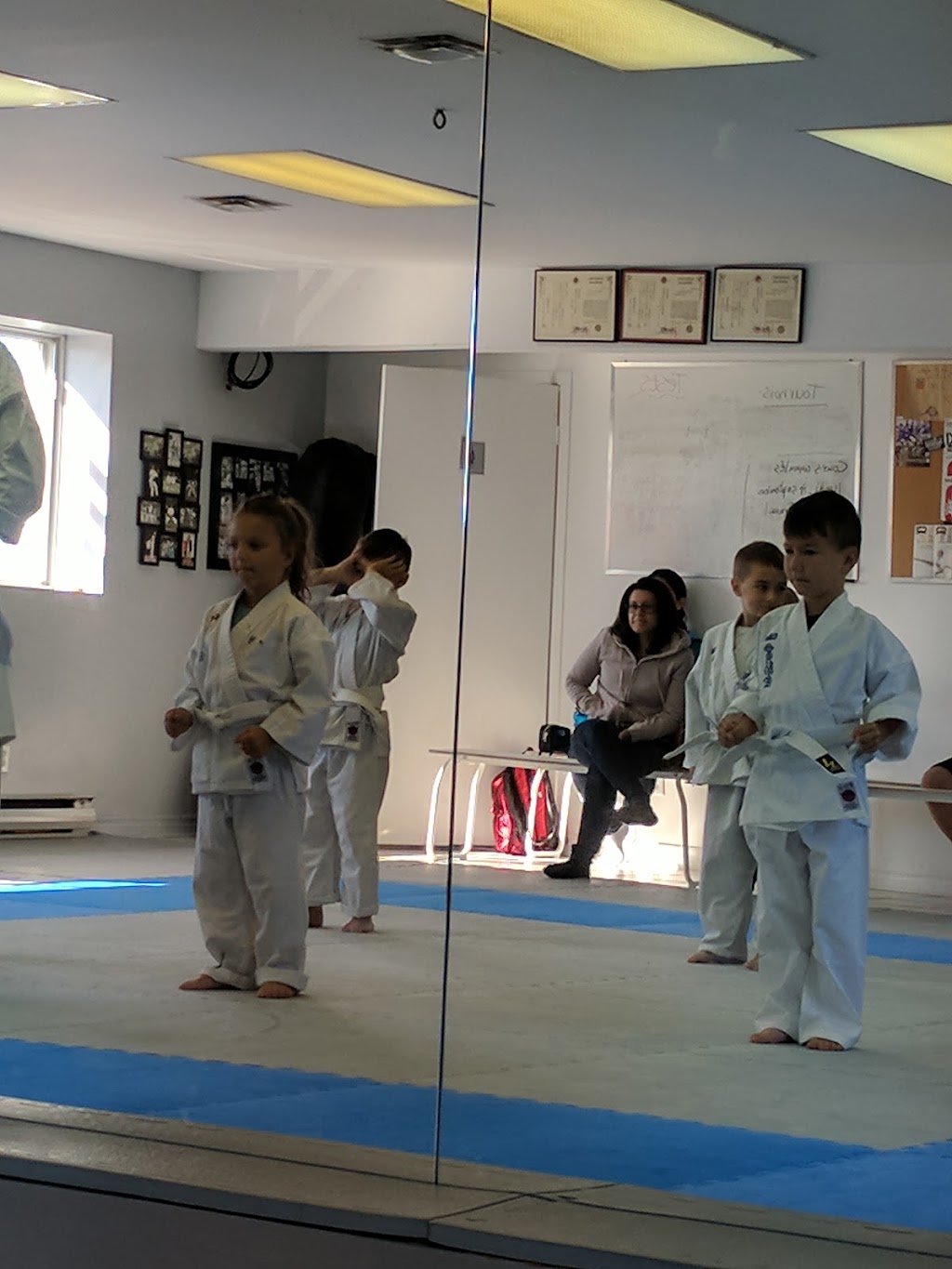 Kanreikai Karate Montréal | 4830 Bd Saint-Charles, Pierrefonds, QC H9H 3E1, Canada | Phone: (514) 834-8458