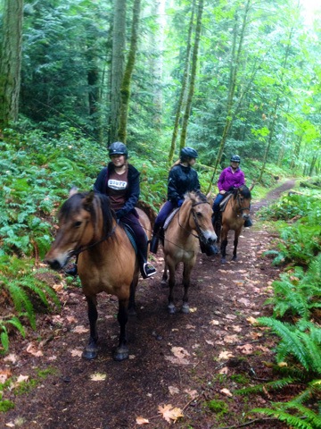 Alpine Stables | 3700 Holland Ave, Cobble Hill, BC V0R 1L3, Canada | Phone: (250) 812-6115
