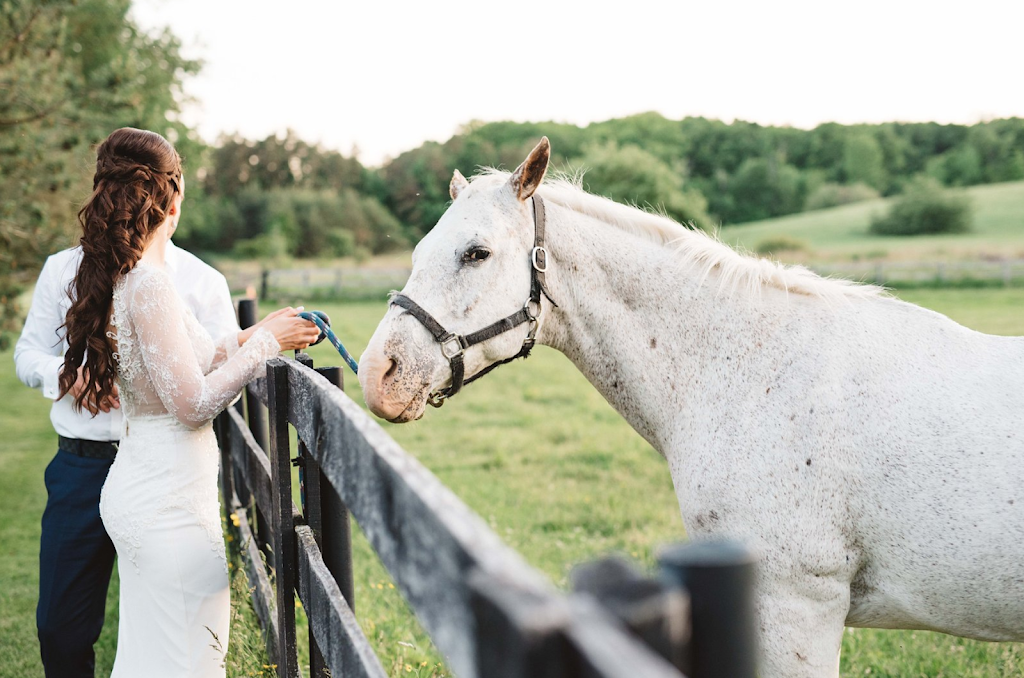 Caledon Valley Estate Barn | 16847 Heart Lake Rd, Caledon Village, ON L7C 2L4, Canada | Phone: (416) 875-2232