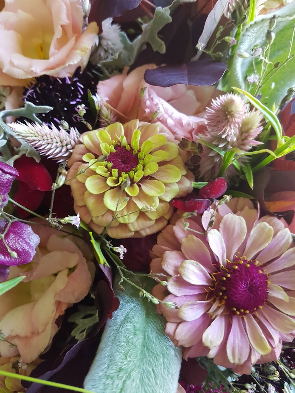 Sylvias 4th Line Florals | 2172 Upper Fourth Concession Bathurst, Perth, ON K7H 3C9, Canada | Phone: (613) 267-7365
