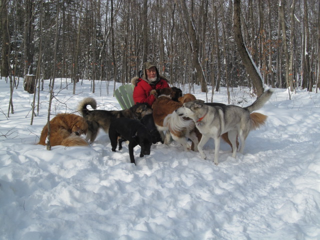 Camp K97 | 97 Shady Maple Ln, Bancroft, ON K0L 1C0, Canada | Phone: (613) 332-3359