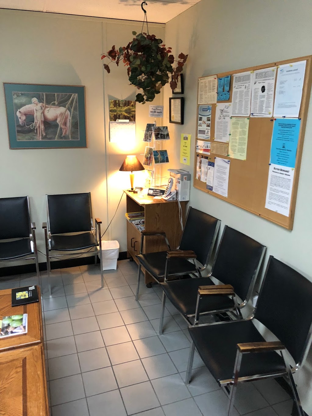 HearCANADA | 1821 Fort St Unit 102, Victoria, BC V8R 1J6, Canada | Phone: (250) 900-4224