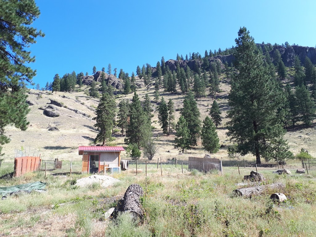 KARL Ranch | 3585 Bubar RD, RR2 S101 C28, Rock Creek, BC V0H 1Y0, Canada | Phone: (250) 486-3856