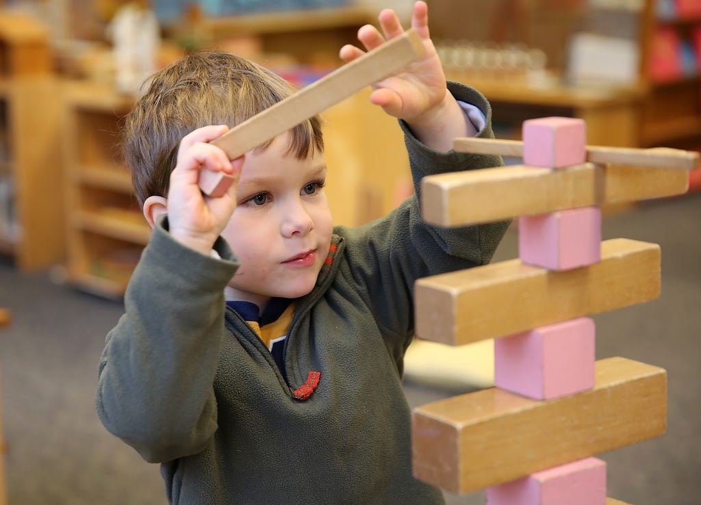 Terry Fox Montessori | 1051 Eglinton Ave W, Mississauga, ON L5V 2W3, Canada | Phone: (416) 557-3396