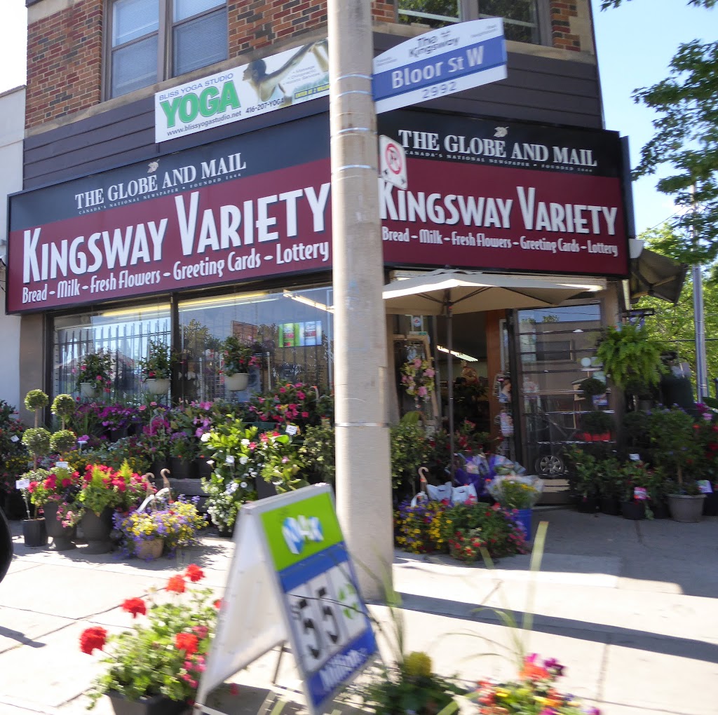 Bliss Yoga Studio | 2992 Bloor St W, Etobicoke, ON M8X 1C2, Canada | Phone: (416) 207-9642