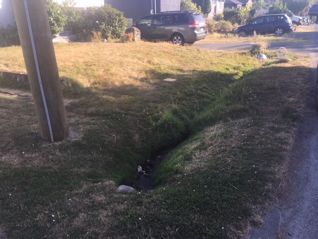 Taylor Excavating | 2294 Marlene Dr, Victoria, BC V9B 2E2, Canada | Phone: (250) 883-1645
