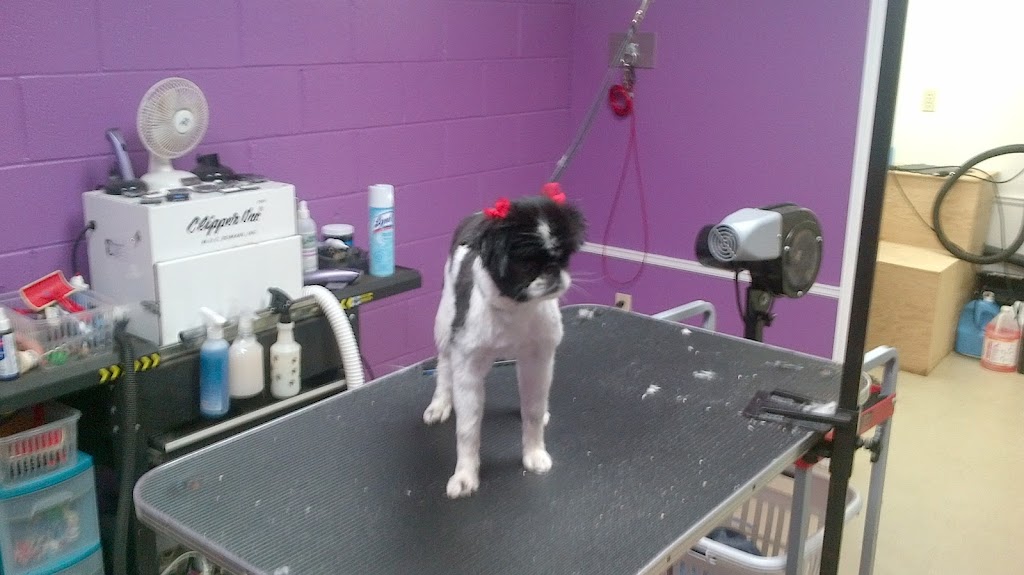 Marlenes K9 Kreations | 500 Rue Main, Montague, PE C0A 1R0, Canada | Phone: (902) 838-2212