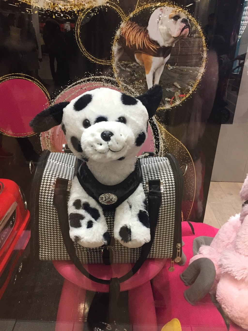 Sweetie B Petwear Ltd | Vaughan Mills, 1 Bass Pro Mills Dr, Concord, ON L4K 5W4, Canada | Phone: (905) 597-5626