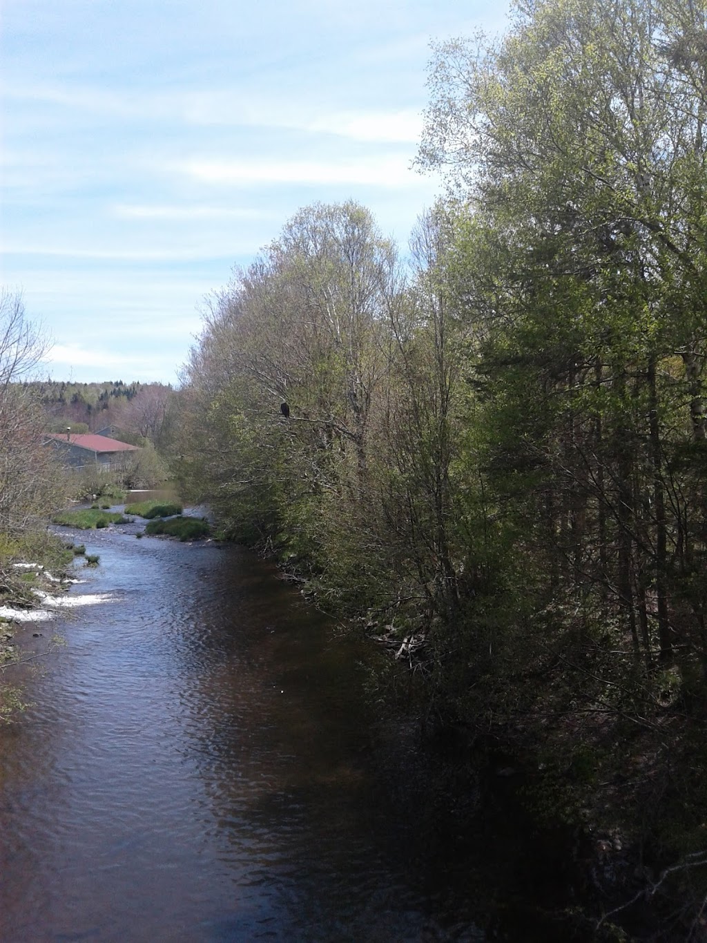 Frasers Mills Fish Hatchery | 1158 Old Pinevale Rd, Saint Andrews, NS B0H 1X0, Canada | Phone: (902) 783-2926