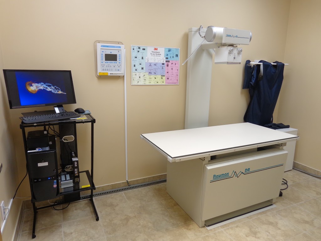 Upper Oakville Pet Hospital | 1011 Upper Middle Rd E a12, Oakville, ON L6H 4L2, Canada | Phone: (905) 338-8387