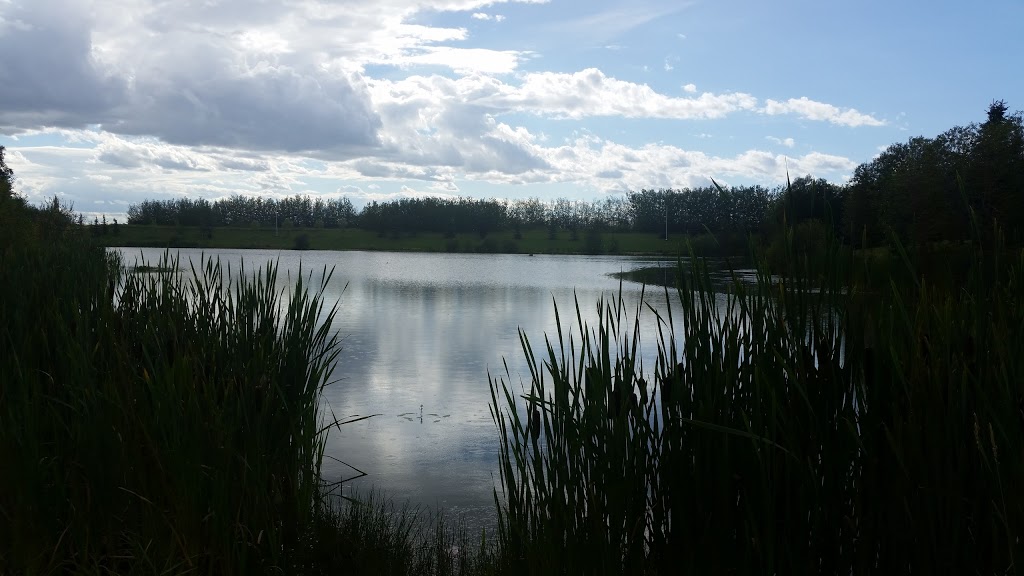 Thibault Park | 1698 Tomlinson Common NW, Edmonton, AB T6R 2W7, Canada
