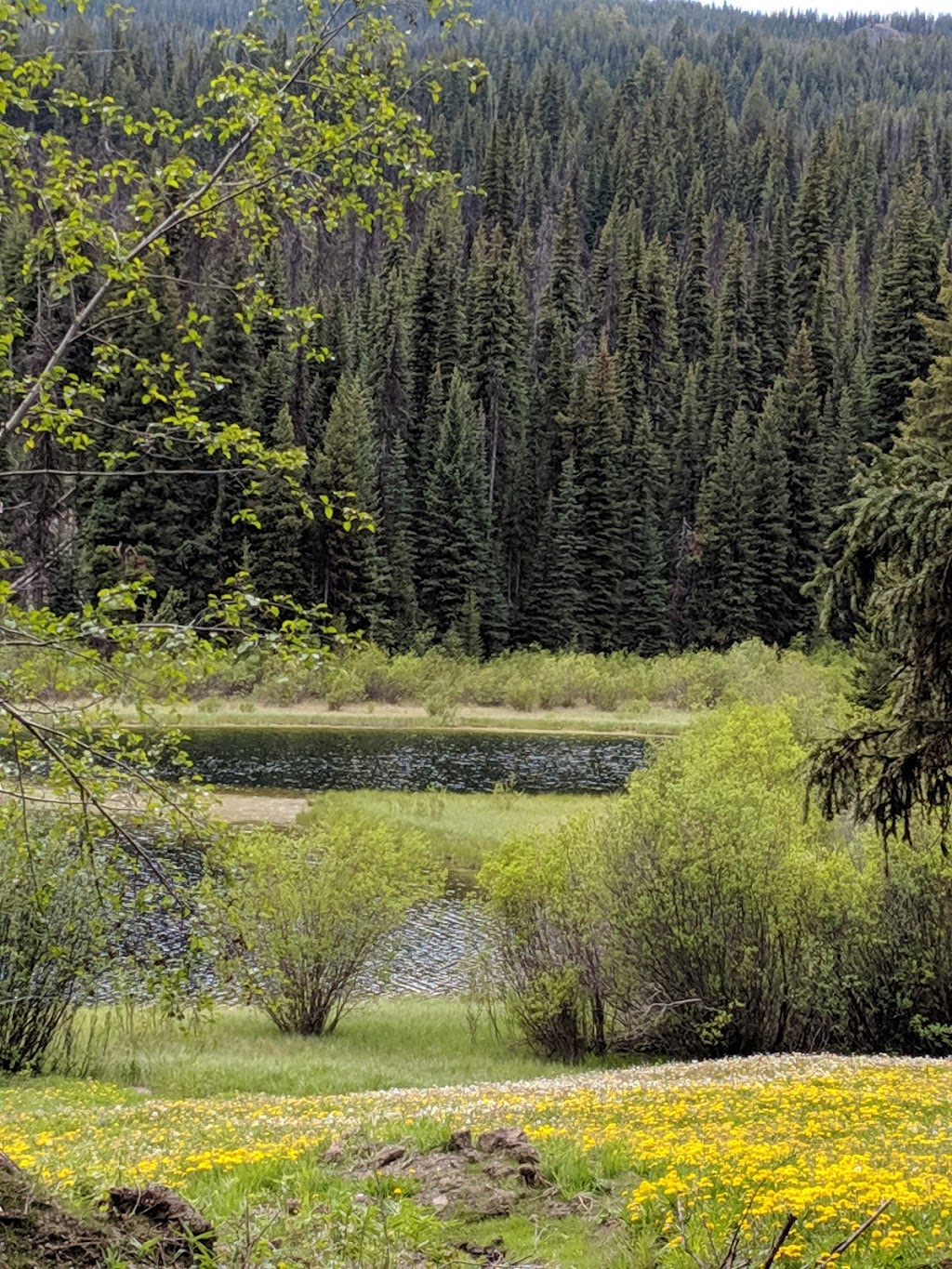 Blue Earth Lake Provincial Park | Ashcroft, BC V0K 1A0, Canada | Phone: (800) 689-9025
