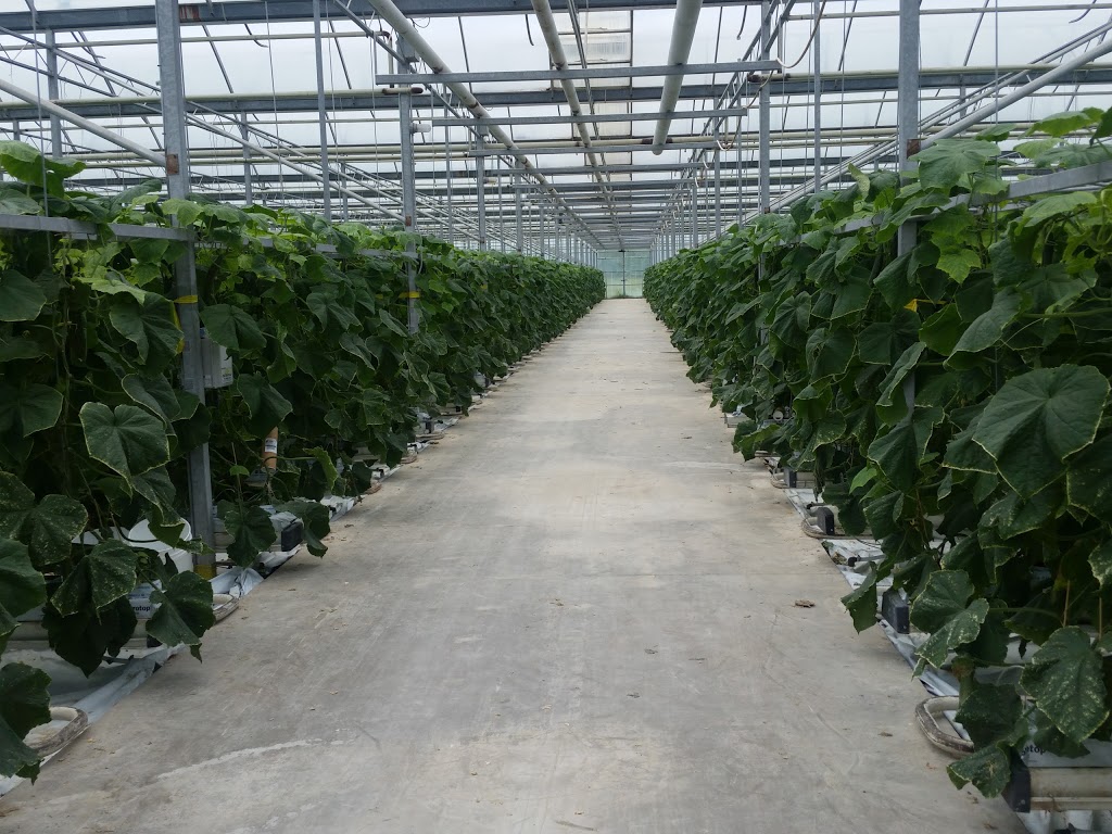 Enature Greenhouses Inc. | 87 Carlise Rd, Carlisle, ON L0R 1H0, Canada | Phone: (905) 690-8555