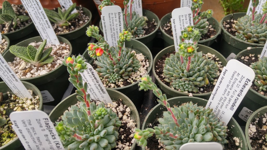 Sage Gardens Greenhouses | 3410 St Marys Rd, Winnipeg, MB R2N 4E2, Canada | Phone: (204) 257-2715