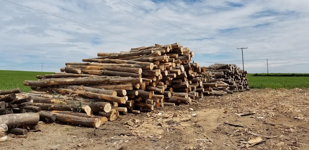 Johnston Bros 2000 | 5045 ON-89, Cookstown, ON L0L 1L0, Canada | Phone: (705) 440-8639