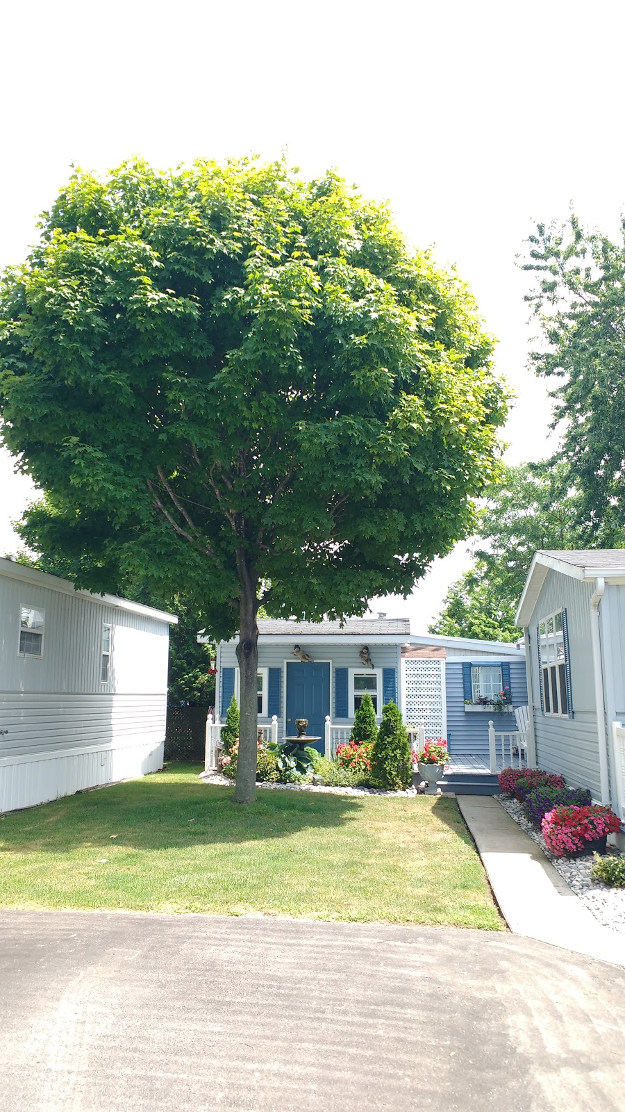 Lighthouse Cove Tent & Trailer Park (The) | 77719 Bluewater Hwy, Bayfield, ON N0M 1G0, Canada