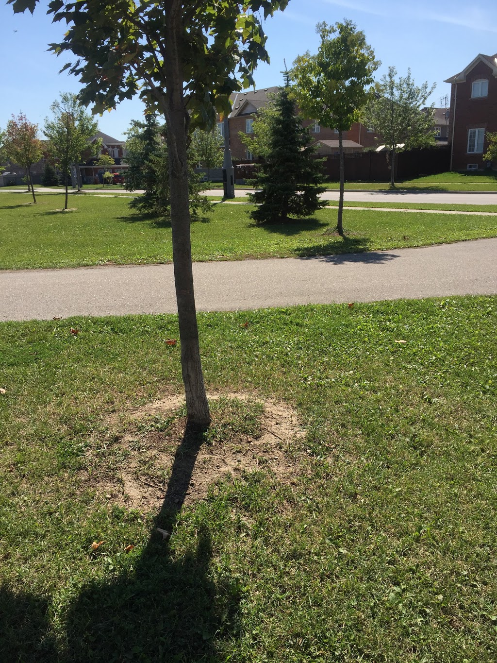 McLeod Park | 3914 Skyview St, Mississauga, ON L5M 8A4, Canada | Phone: (905) 625-3600