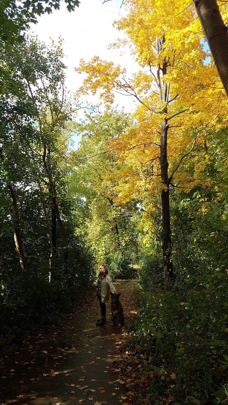 Jesse Davidson Park | 4V3, 731 Viscount Rd, London, ON N6J 4V3, Canada | Phone: (519) 661-5575