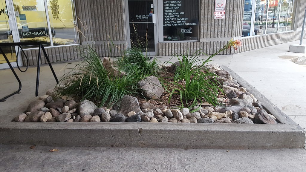 Mane Attraction | 836 McLeod Ave, Winnipeg, MB R2G 3P3, Canada | Phone: (204) 667-8687