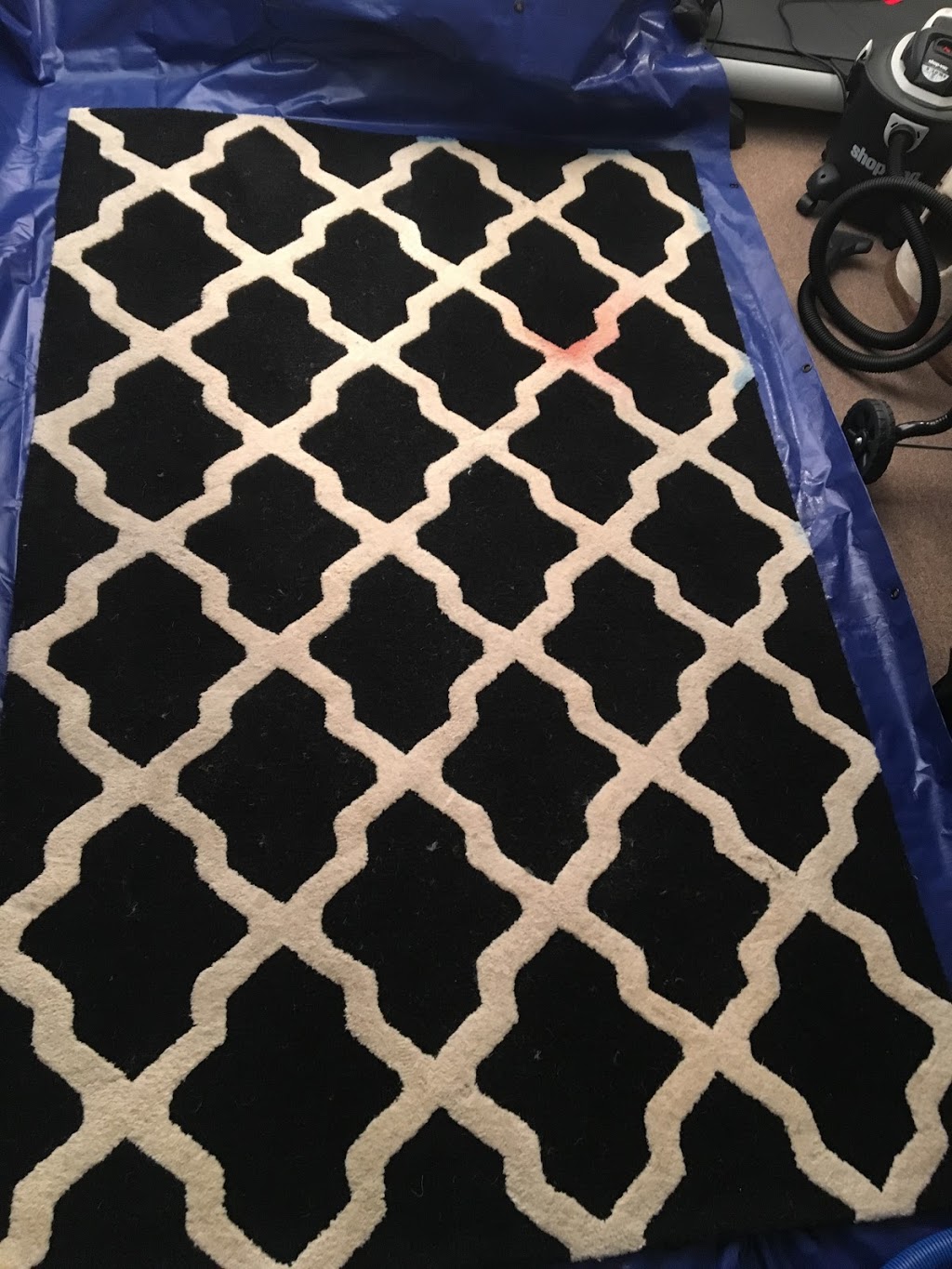 Custom Colour Carpets and Rugs | 21 Manley Crescent, Thorold, ON L2V 4K2, Canada | Phone: (519) 318-7717