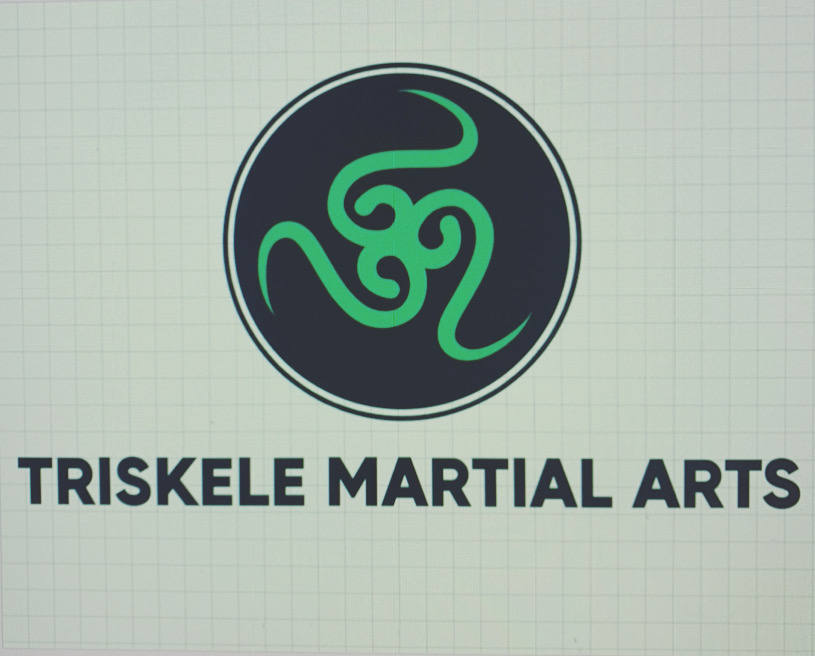 triskele martial arts | 676 King St W, Kingston, ON K7M 2E8, Canada | Phone: (613) 847-9693