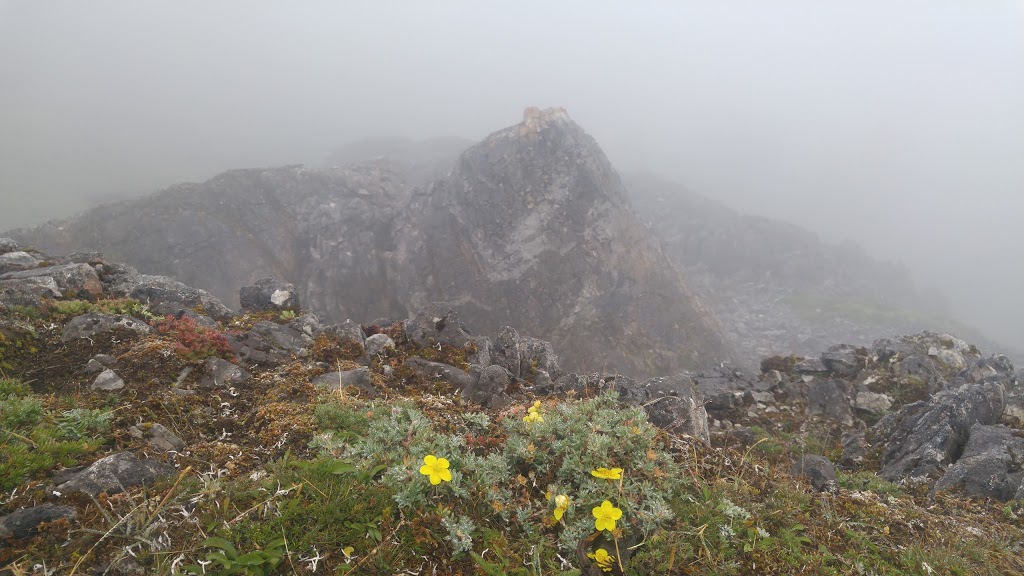 Liumchen Ecological Reserve | Rosedale, BC V0X 1X0, Canada | Phone: (800) 689-9025