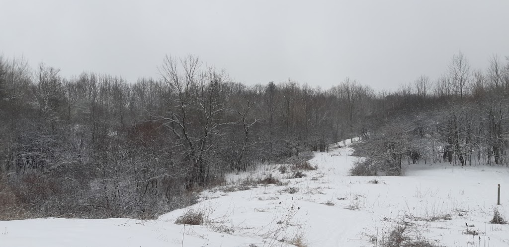 Crows Pass Conservation Area | 231 Middle March Rd, Port Perry, ON L9L 2A9, Canada | Phone: (905) 579-0411
