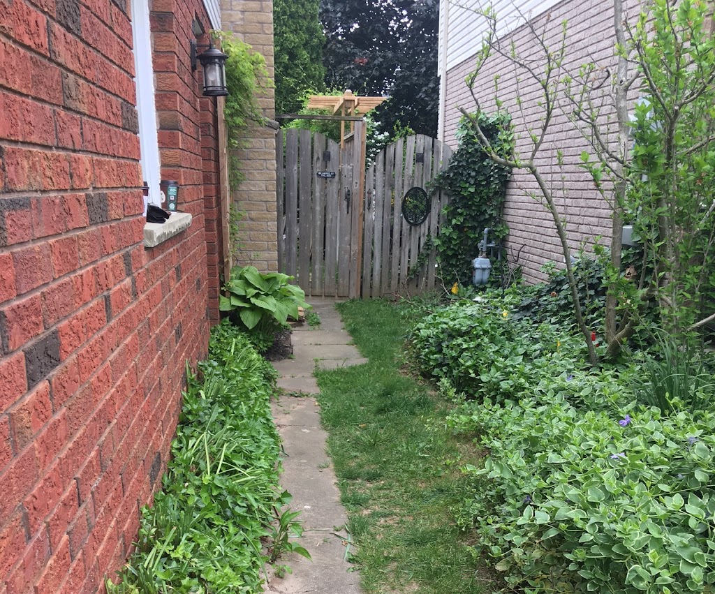 Fix My Yard | 36A Thomas St, St. Catharines, ON L2R 6L9, Canada | Phone: (905) 321-2050
