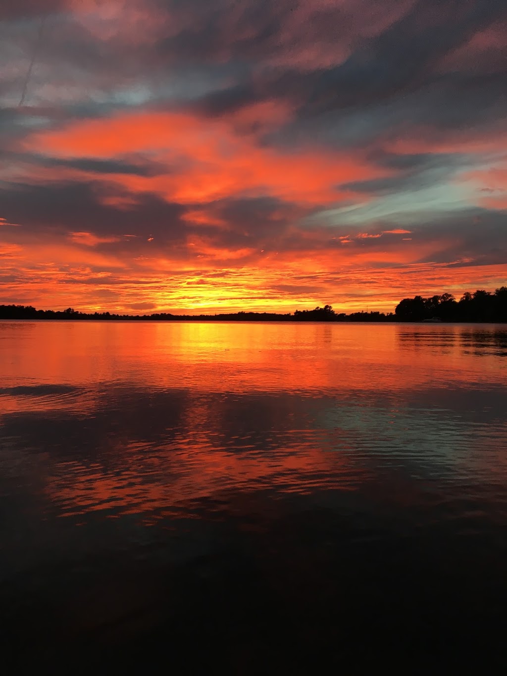 Silverstone family campground | 156 Gerhardt Rd, Waubaushene, ON L0K 2C0, Canada | Phone: (416) 528-5918