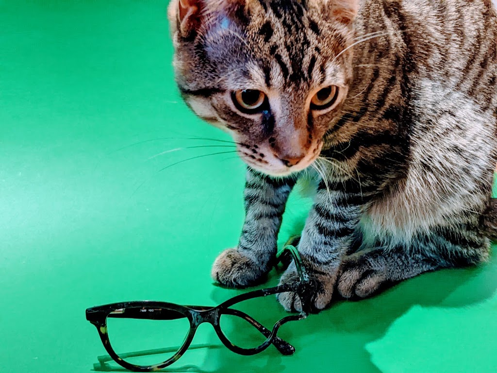 Kawartha Vision Care | 9 Elgin St E, Cobourg, ON K9A 0A1, Canada | Phone: (905) 372-0872