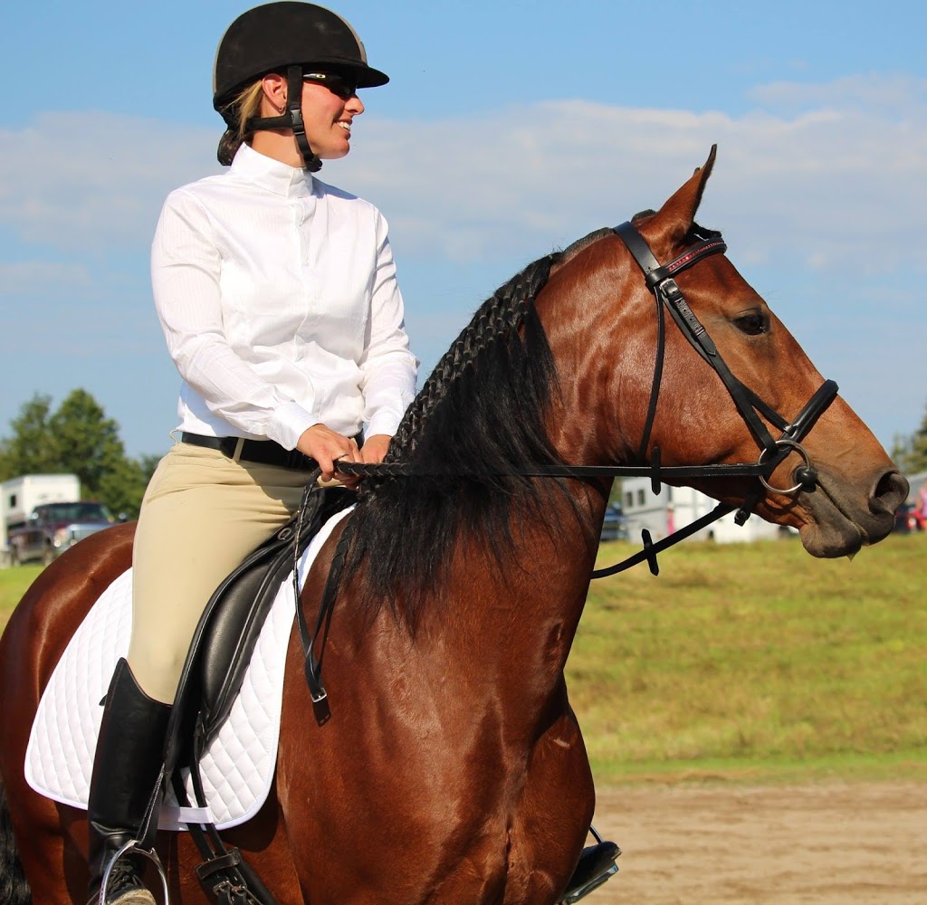 Talisman Equestrian | 4560 Hwy 7, Omemee, ON K0L 2W0, Canada | Phone: (705) 799-2581
